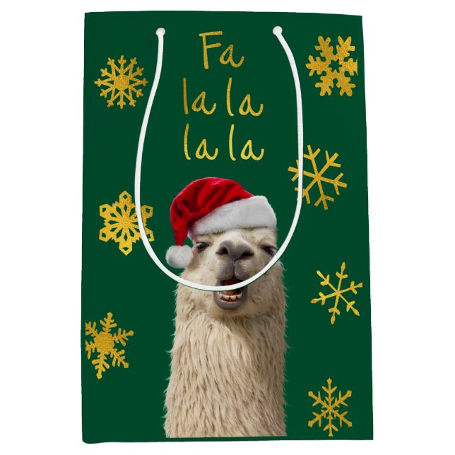La La Llama (Framsidan)