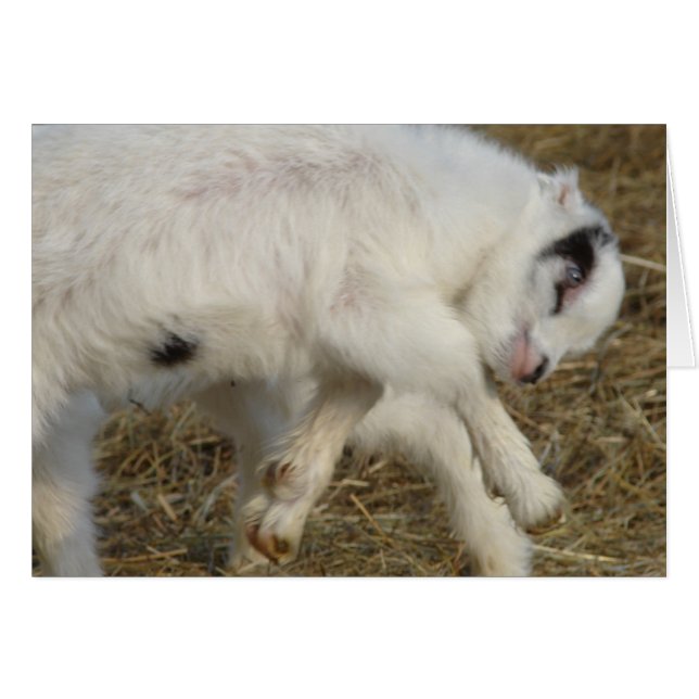 La Mancha Billy Kid på Play Hälsningskort (Framsidan Horizontal)