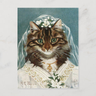La mariée chatta vykort