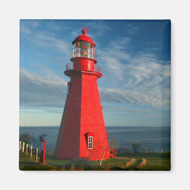 La Martre Lighthouse | Matan på gasen Magnet (Framsidan)