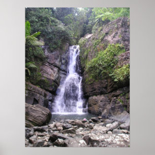 La Myna Falls Poster