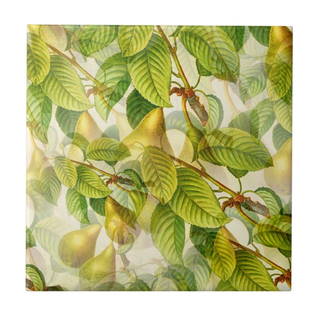 La Pera Pear Kakelplatta (Framsidan)