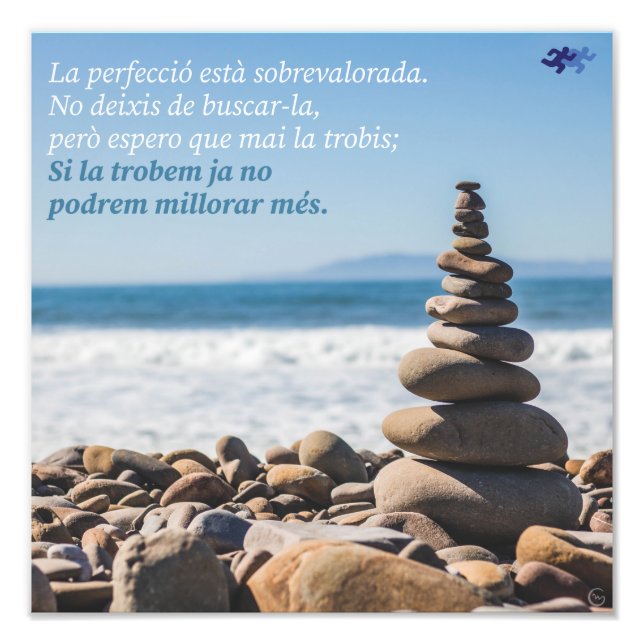 La perfecció està sobrevalorada fototryck (Framsidan)