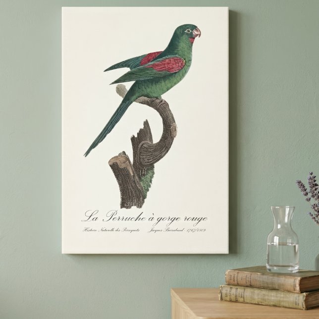 La Perruche a gorge rouge Canvastryck (Orange-Chinned Parakeet, Brotogeris jugularis. Canvas Print)
