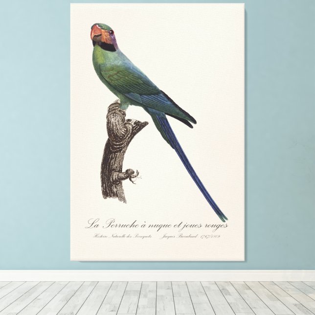 La Perruche a nuque et joues rouges Canvastryck (Insitu (trägolv))