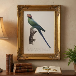 La Perruche a nuque et joues rouges Fototryck