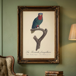 La Perruche fringillaire Fototryck