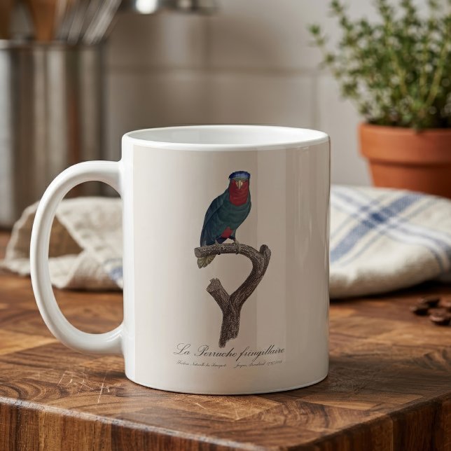 La Perruche fringillaire Kaffemugg (Blue-Crowned Lorikeet, Vini Australis. Coffee Mug)