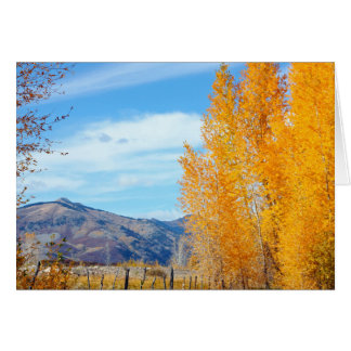 La Platas Autumn OBS Kort