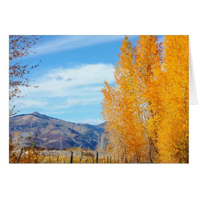 La Platas Autumn OBS Kort (Framsidan Horizontal)