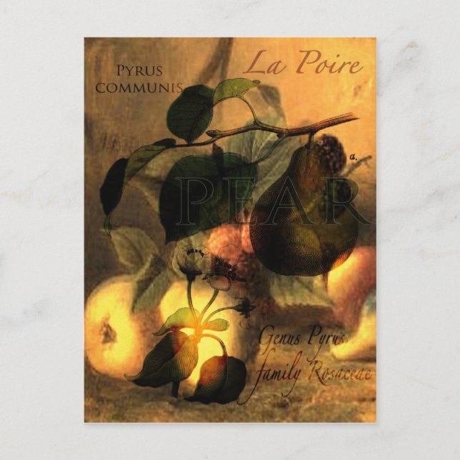 La Poire #1 Vykort (Framsida)
