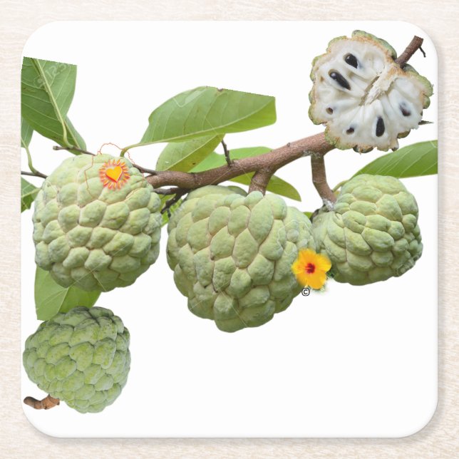 La pomme-cannelle - Verre à shot Underlägg Papper Kvadrat (Framsidan)