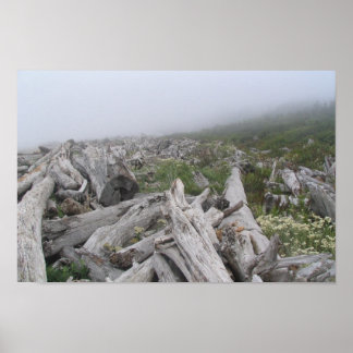 La Push, Pacific Kusten - WA Poster