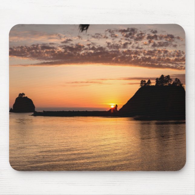 La Push, Washington. Panorama Musmatta (Framsidan)
