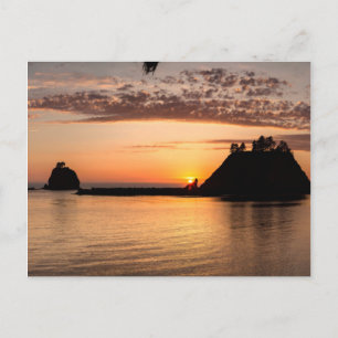 La Push, Washington. Panorama Vykort