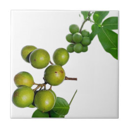 La quenette  kakelplatta