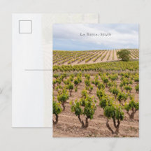 La Rioja, Spanien Vingårdslandskap