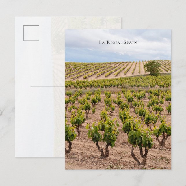 La Rioja, Spanien Vingårdslandskap Vykort (Fram/baksida)