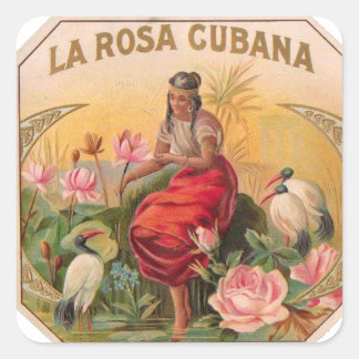 La Rosa Cubana Diseño Vintage Cuba Fyrkantigt Klistermärke