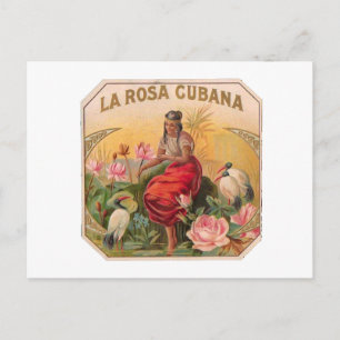 La Rosa Cubana Diseño Vintage Cuba Vykort