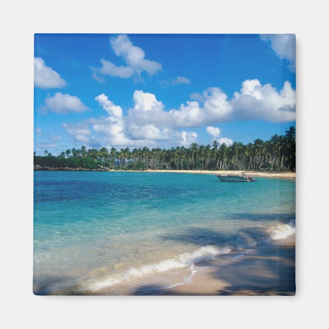 La Samana-halvön, Dominikanska republiken, 2 Magnet (Framsidan)