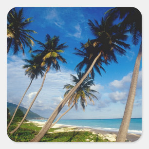 La Samana Peninsula, Dominikanska republiken Fyrkantigt Klistermärke