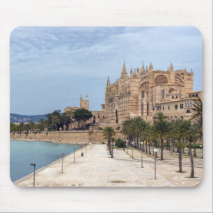 La Seu, katetern Palma de Mallorca - Spanien Musmatta