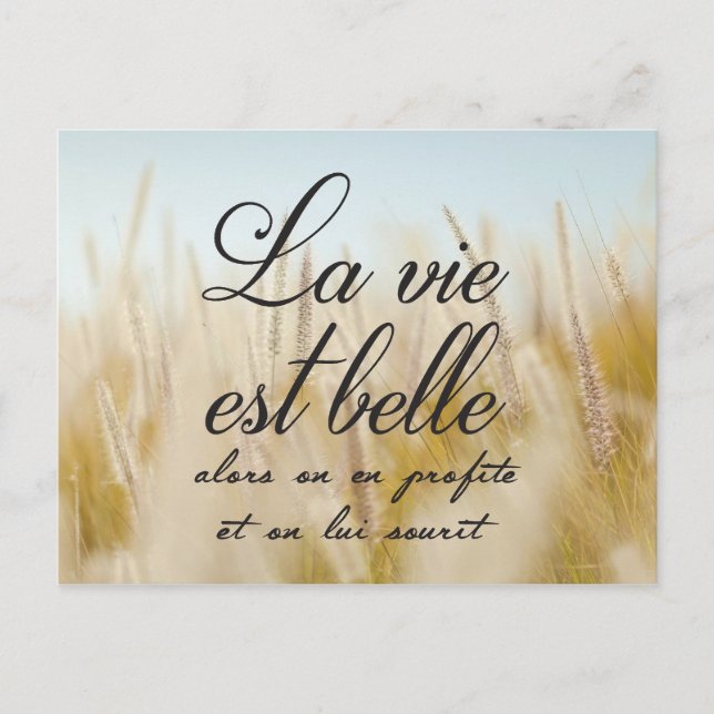 La vie est belle vykort (Framsida)