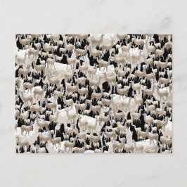 Laama, Llama-vykort Vykort