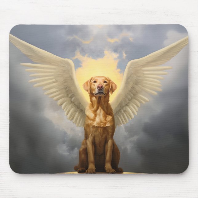 Lab Angel Musmatta (Framsidan)