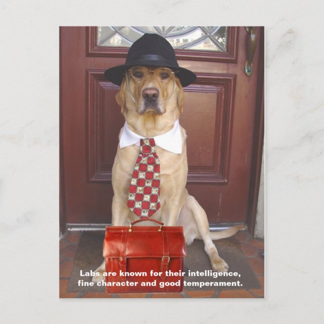 Lab-fack - Bra Vykort (Framsida)