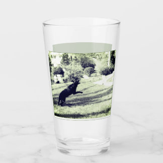 Lab fångar frisbee Beer Glass Glaskopp