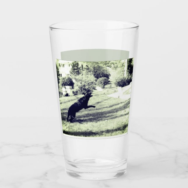 Lab fångar frisbee Beer Glass Glaskopp (Framsida)