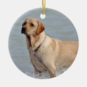 Lab Gult Hund Vatten Photo Julgransprydnad Keramik