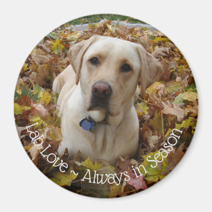 Lab Kärlek ~ Alltid i Season Magnet