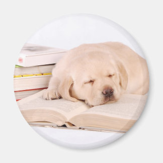 Lab Magnet