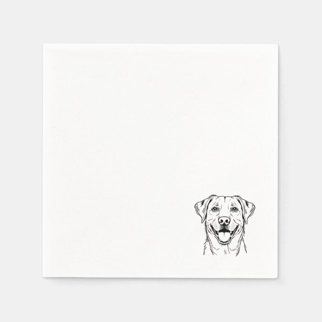 Lab Napkin Pappersservett (Framsidan)