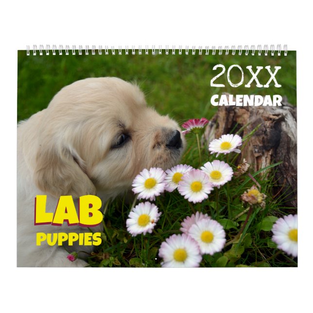 Lab Puppies Labrador Retriever Wall 2025 Calendar Kalender (Omslag)