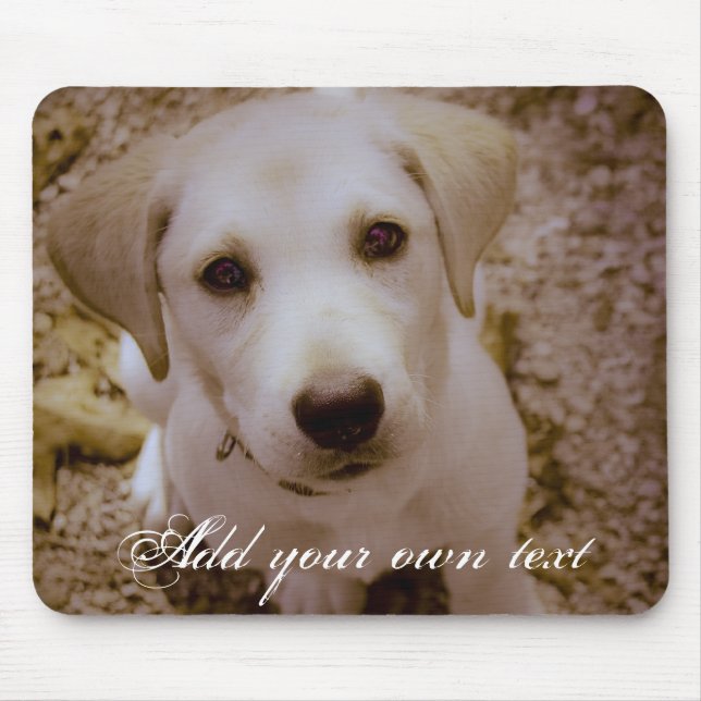 Lab Puppy Mousepad Musmatta (Framsidan)