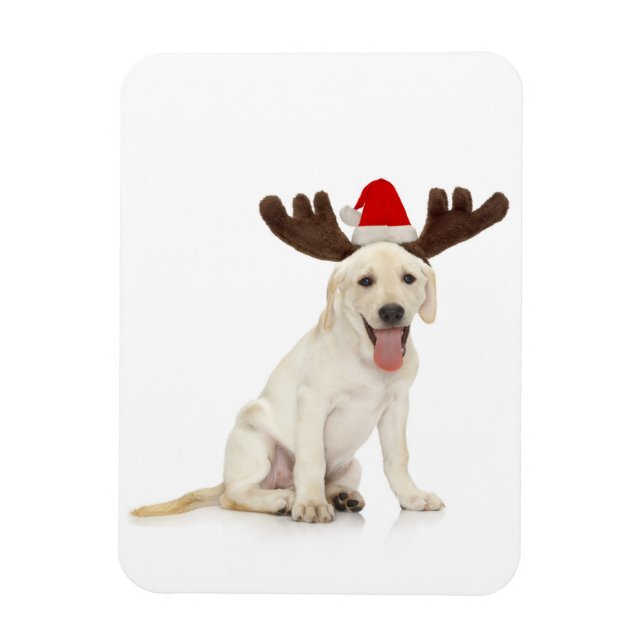 Lab Puppy Wearing Antlers Magnet (Vertikal)