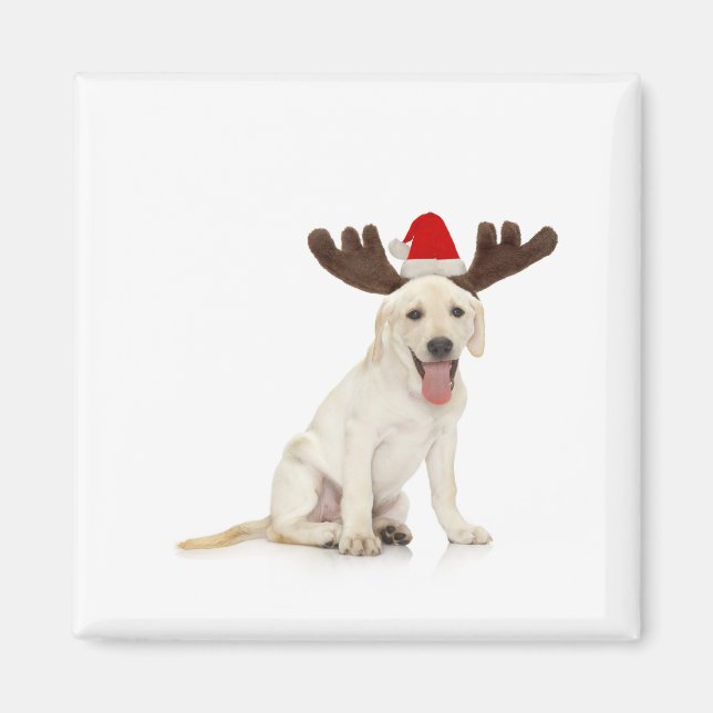 Lab Puppy Wearing Antlers Magnet (Framsidan)