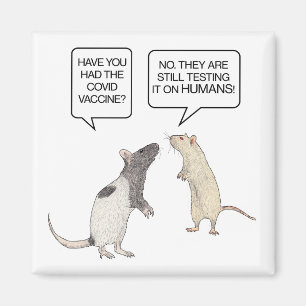 Lab Råtta Covid Vaccine Funny Magnet