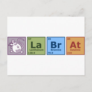 Lab Råtta Vykort