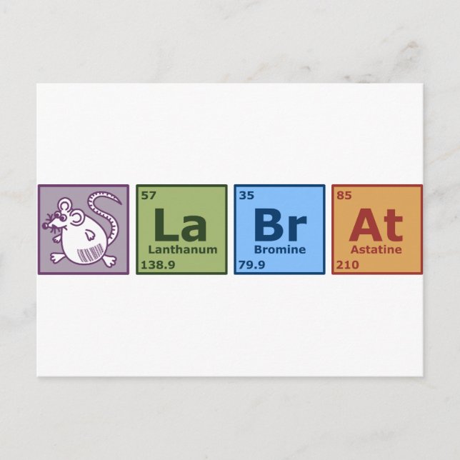 Lab Råtta Vykort (Framsida)
