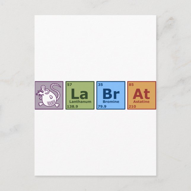 Lab Råtta Vykort (Framsida)