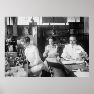 Lab Råttor, 1912 Poster