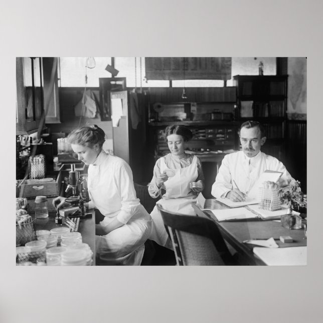 Lab Råttor, 1912 Poster (Framsidan)