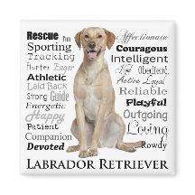 Lab Traits Magnet