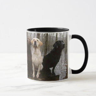 Labb Mugg