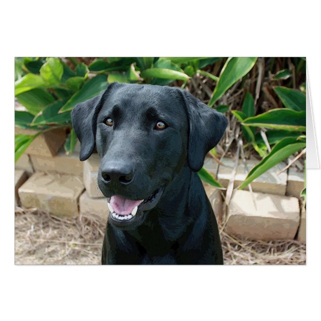 Labbet med underbart budskap! OBS kort (Framsidan Horizontal)